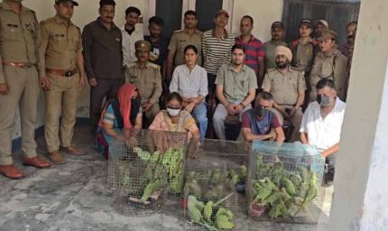 जगदलपुर में वन विभाग टीम पर हमला, तोतों की अवैध बिक्री पर कार्रवाई के दौरान हंगामा