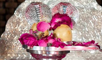 29 अप्रैल को रायपुर में प्राचीन “सोमनाथ ज्योतिर्लिंग छत्तीसगढ़ वासियों के जनदर्शन हेतु कार्यक्रम