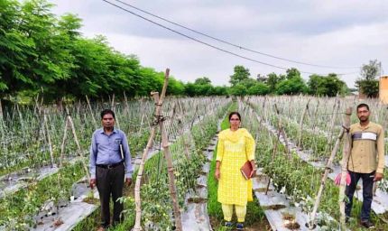 राष्ट्रीय कृषि विकास योजना: ईश्वरी प्रसाद ने टमाटर उत्पादन से कमाए 02 लाख 90 हजार रूपए