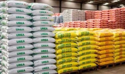 अब यूरिया खाद पर नहीं होगी किचकिच! 100 लाख टन के गैप को भरने के लिए नई पॉलिसी तैयार