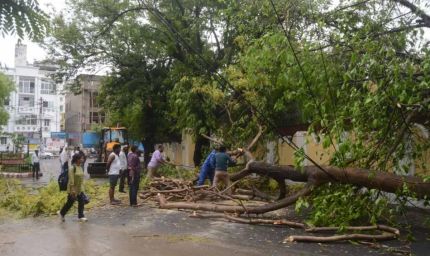 लखनऊ समेत कई जिलों में आंधी-बारिश का कहर: 18 की मौत, बिजली व्यवस्था ठप