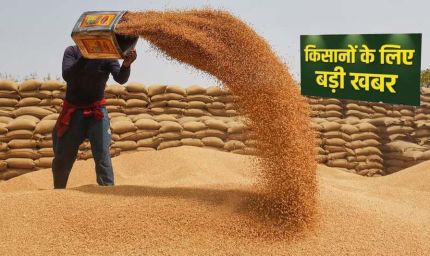 प्रदेश में किसानों के लिए खुशखबरी, गेहूं उपार्जन की तारीख बढ़ी, जानें नया अपडेट