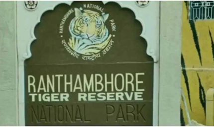 रणथंभौर टाइगर रिजर्व में फर्जी टिकट मामला, दो गाइड बैन लेकिन गार्ड को मिली राहत पर सवाल
