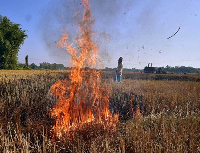 इस बार गेहूं अवशेष जलाने वालों पर केंद्र की कड़ी नजर, 10,500 अधिकारी तैनात, सैटेलाइट से होगी निगरानी