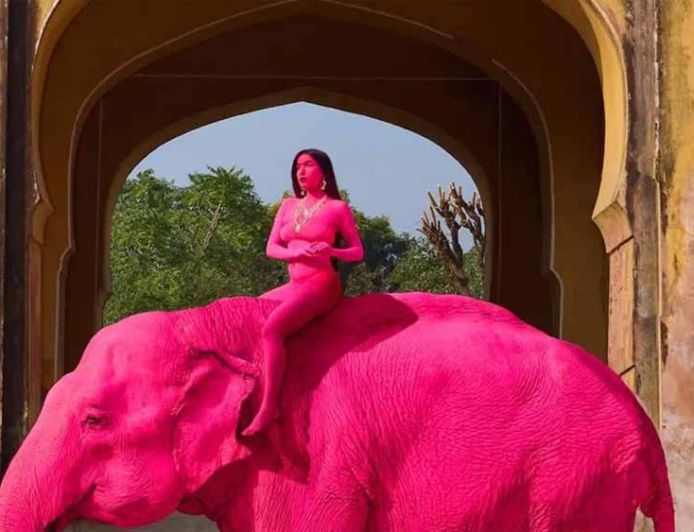 जयपुर में ‘गुलाबी हाथी’ फोटोशूट पर बवाल, विदेशी फोटोग्राफर को लोगों ने घेरा