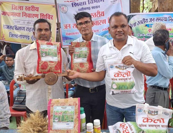 लैलूंगा की पहचान बना ‘केलो’ जैविक जंवाफूल चावल