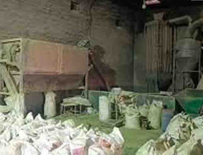 मिडिल ईस्ट युद्ध की मार, पाली की सोजत मेहंदी का 250 करोड़ का कारोबार ठप