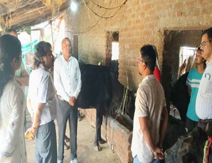 पशुओं में नस्ल सुधार का कार्य बेहतर ढंग से करें : प्रमुख सचिव  उमराव