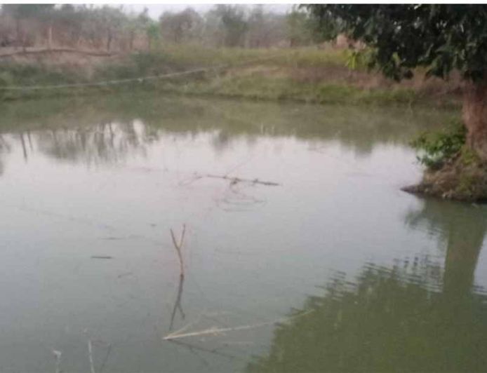 डबरी, मछली पालन और बहुफसली खेती से बदली तकदीर—सगनू बने गांव के प्रेरणास्रोत