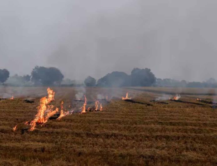 पंजाब में आग से गेहूं की फसल को नुकसान: PWD मंत्री ने मौके पर पहुंचकर लिया जायजा