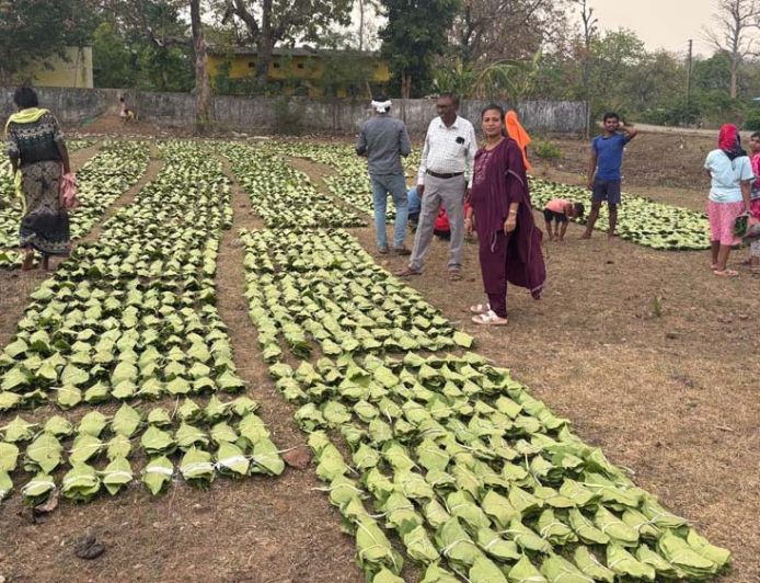 हरा सोना संग्राहकों की आय बढ़ाने के लिए बड़ा कदम, 920 करोड़ रुपए का होगा संभावित भुगतान
