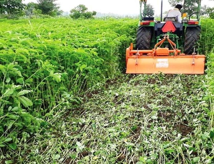 हरी खाद से लहलहाएंगे खेत: धान उत्पादन बढ़ाने कृषि विभाग का विशेष अभियान तेज