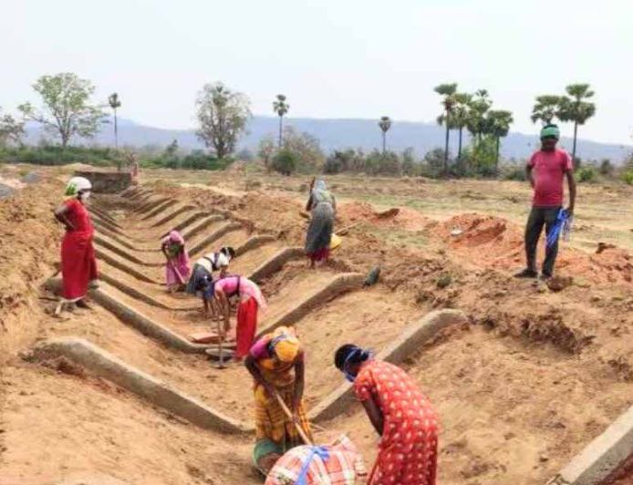 मनरेगा ई-केवाईसी में छत्तीसगढ़ नंबर-1, 97.11% सक्रिय श्रमिकों को मिली सुविधा