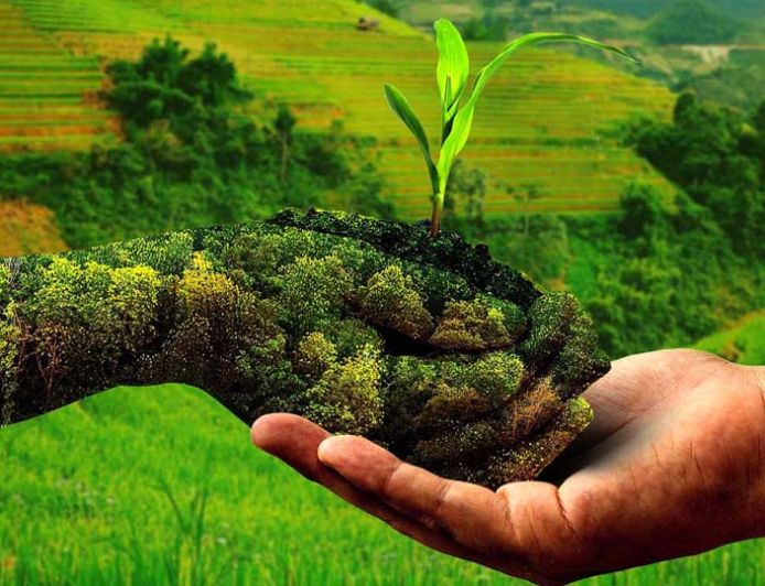 प्राकृतिक खेती से बेहतर आय अर्जित कर रहे 2.60 लाख किसान