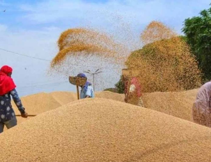 4 लाख 88 हजार किसानों से 19 लाख 90 हजार मीट्रिक टन गेहूं का हुआ उपार्जन