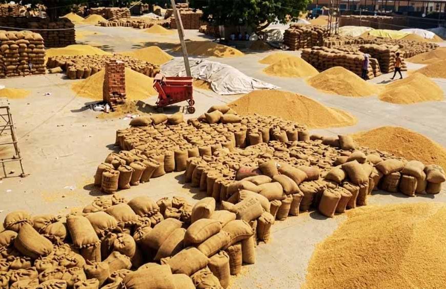 पंजाब में आज से गेहूं खरीद शुरू, बाहरी अनाज पर कड़ी निगरानी