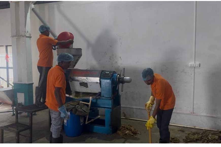 सीएम युवा' योजना से मिल रहे युवाओं के सपनों को पंख, लखीमपुर के उमंग बने सफल उद्यमी