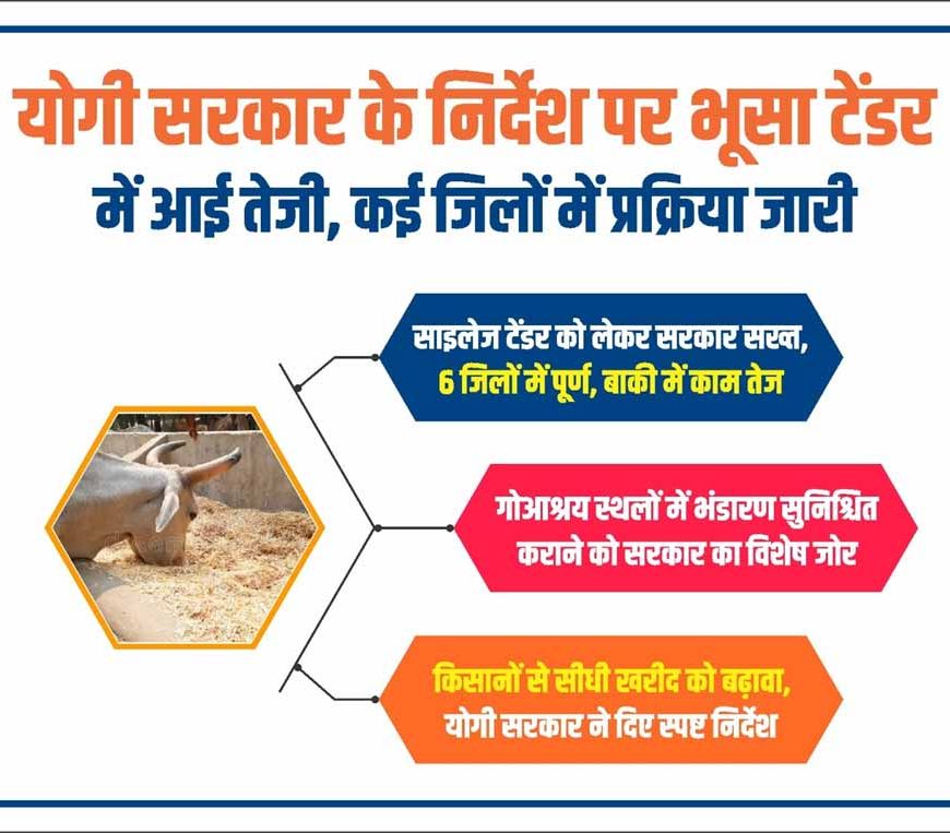 योगी सरकार के निर्देश पर भूसा टेंडर में आई तेजी, कई जिलों में प्रक्रिया जारी