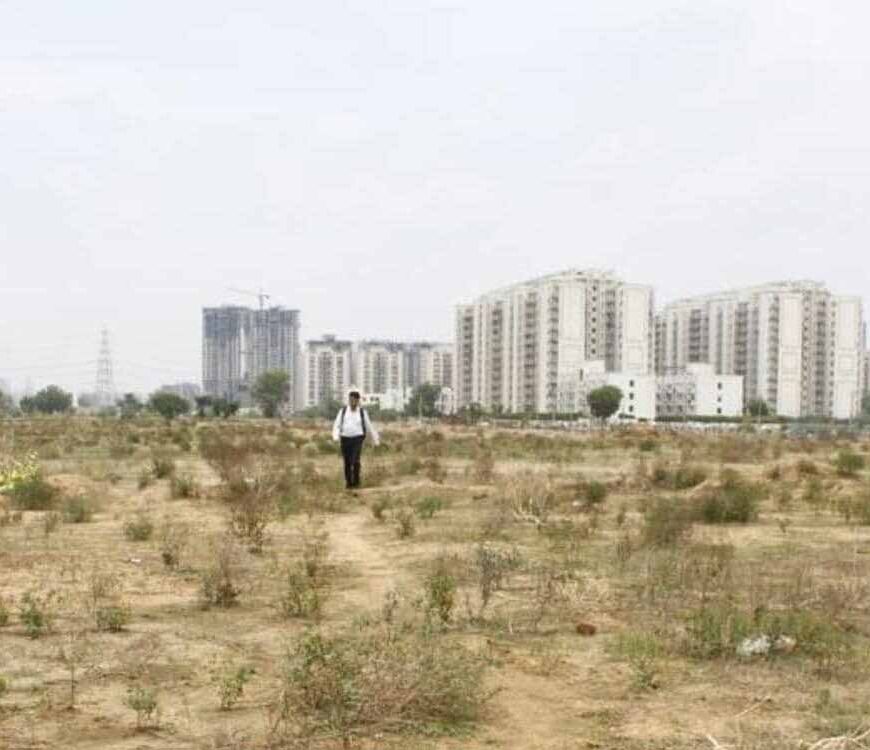 हरियाणा में जमीन महंगी: नए कलेक्टर रेट लागू, बढ़ी दरों पर होगी रजिस्ट्री