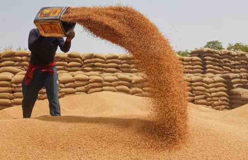 देशभर में गेहूं की सरकारी खरीद शुरू, 2585 रुपये प्रति क्विंटल के नए MSP से किसानों को मिलेगा बड़ा लाभ