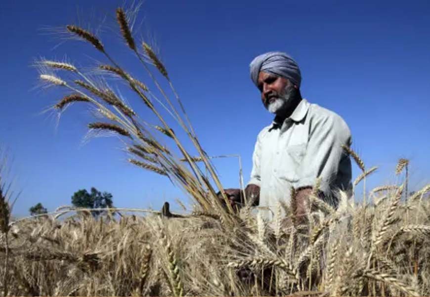 पंजाब के किसानों के लिए सुनहरा मौका, 24 अप्रैल तक करें आवेदन, समय सीमित