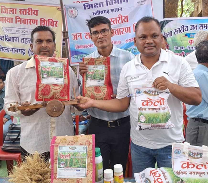 लैलूंगा की पहचान बना ‘केलो’ जैविक जंवाफूल चावल