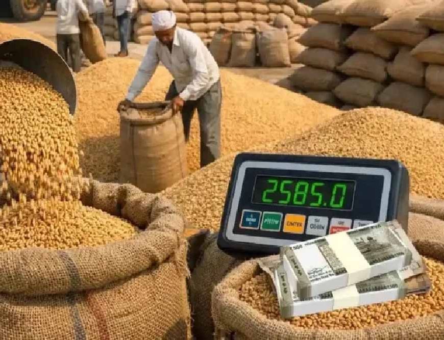 जालंधर में मंत्री के निर्देश: गेहूं खरीद का 24 घंटे में भुगतान सुनिश्चित करें