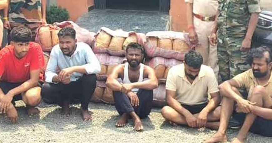 महासमुंद में बड़ा ड्रग्स ऑपरेशन: डेढ़ करोड़ का गांजा जब्त, 5 तस्कर गिरफ्तार