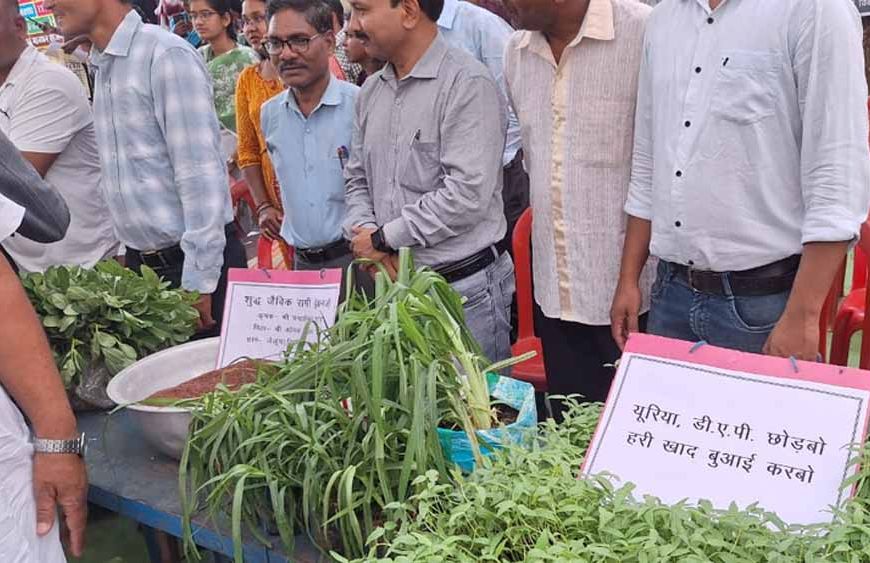 हरी खाद से बदल रही खेती की तस्वीर: कम लागत, बेहतर मुनाफा और स्वस्थ मिट्टी’