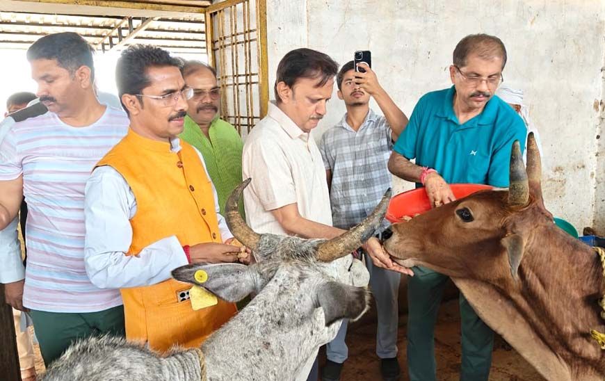 हिनौती गौधाम गौ संरक्षण एवं प्राकृतिक खेती का दिव्यधाम बनेगा : उप मुख्यमंत्री