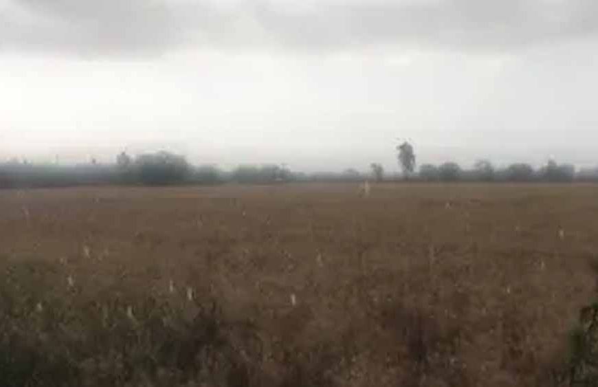 पंजाब में मौसम का कहर: ओलावृष्टि का ऑरेंज अलर्ट, आज-कल आंधी के साथ तेज बारिश की चेतावनी