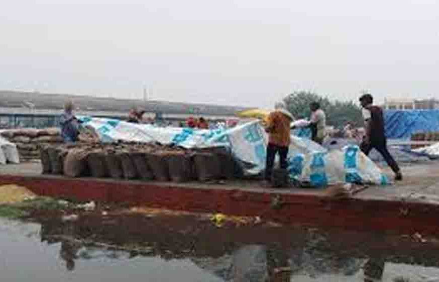 हरियाणा में मौसम की मार, बारिश से मंडियों में भीगा हजारों क्विंटल गेहूं