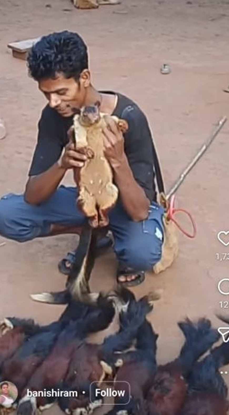 दुर्लभ गिलहरियों का शिकार पड़ा भारी: सोशल मीडिया बना शिकारी की गिरफ्तारी का कारण