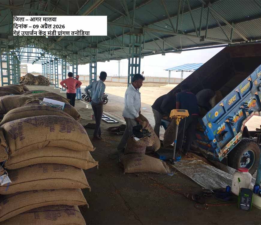 समर्थन मूल्य पर पहले दिन हुई 1616 क्विंटल गेहूँ की खरीदी : खाद्य मंत्री राजपूत