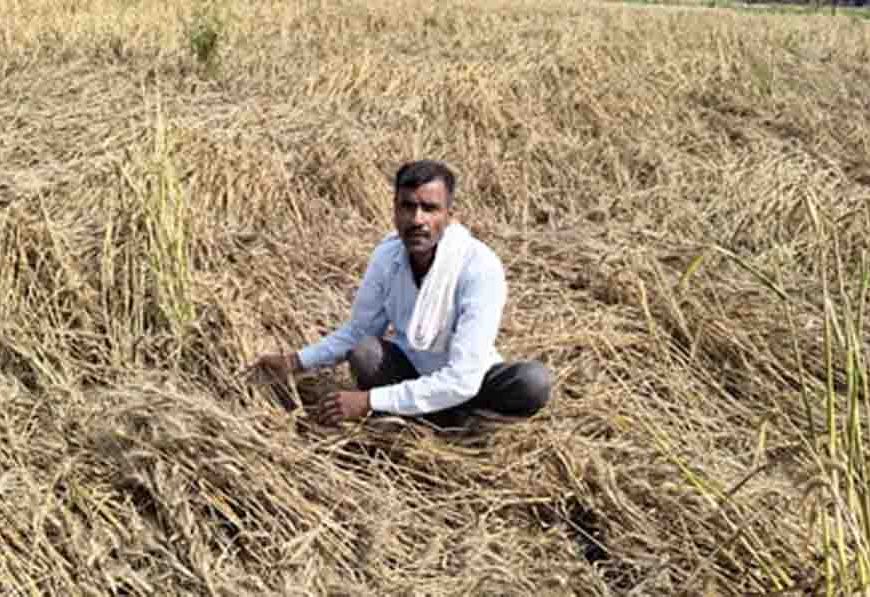 यूपी में थमेगा मौसम का मिजाज, अब तीखी धूप और गर्म हवाओं के साथ 10 डिग्री तक बढ़ेगा पारा और गर्मी ढाएगी कहर