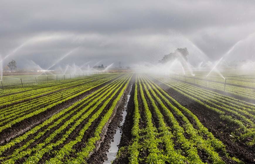 रायपुर : दो सिंचाई योजना के लिए 6.12 करोड़ रुपये स्वीकृत