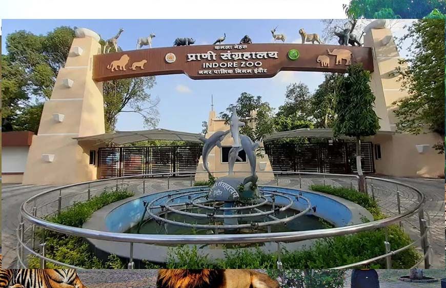 इंदौर चिड़ियाघर में बनेगी अंडर वॉटर टनल, दुबई और सिंगापुर की तर्ज पर 35 करोड़ का मॉडल