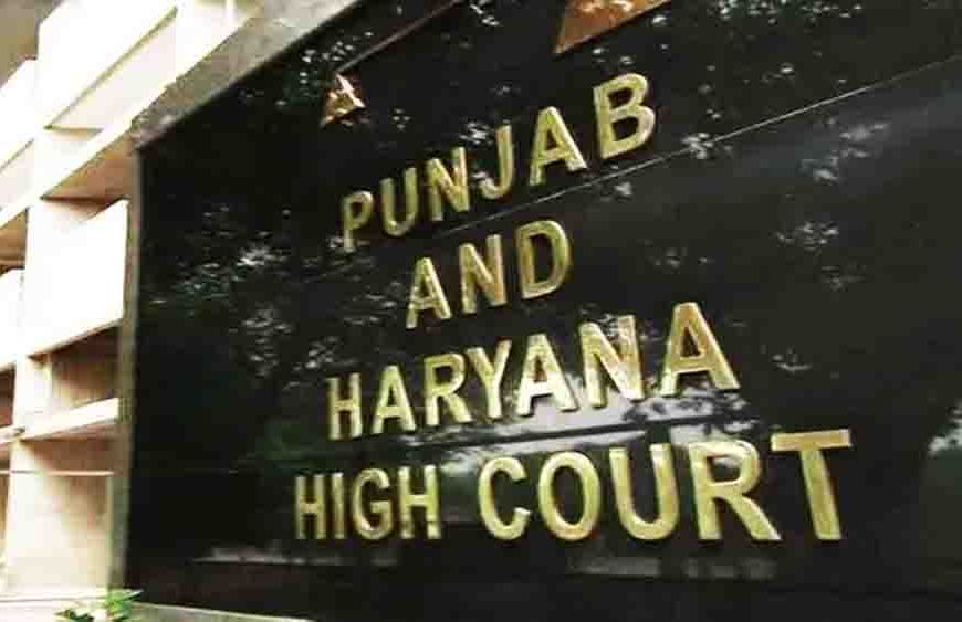 डिजिटल अरेस्ट’ साइबर ठगी मामले में आरोपी को हाई कोर्ट से नियमित जमानत मिली