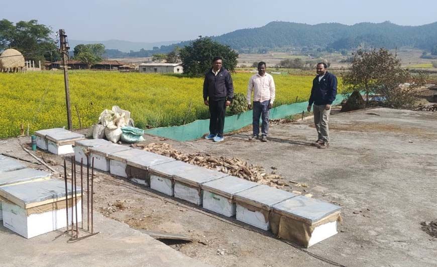 रायपुर : मधुमक्खी पालन: कम लागत में ज्यादा मुनाफे का बेहतर विकल्प