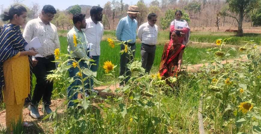 दीदी के बखरी से बदल रही तस्वीर : कांकेर में महिला किसानों की आय में क्रान्तिकारी