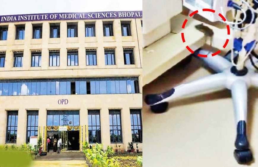 AIIMS भोपाल के NICU में लापरवाही: 3 दिन में 25 मरे चूहे मिले, नवजातों पर संक्रमण का खतरा