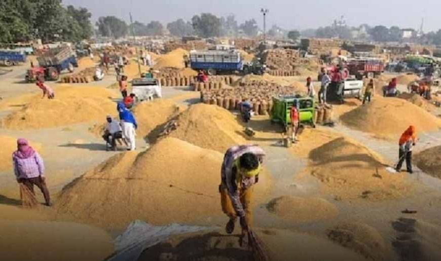 धान खरीदी स्टॉक में 2.54 करोड़ की गड़बड़ी: मुंगेली केंद्र प्रभारी पर FIR दर्ज