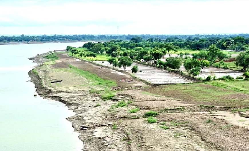 गंगा के किनारे 26 जिलों में ऑर्गेनिक क्लस्टर से बदल रही यूपी की तस्वीर