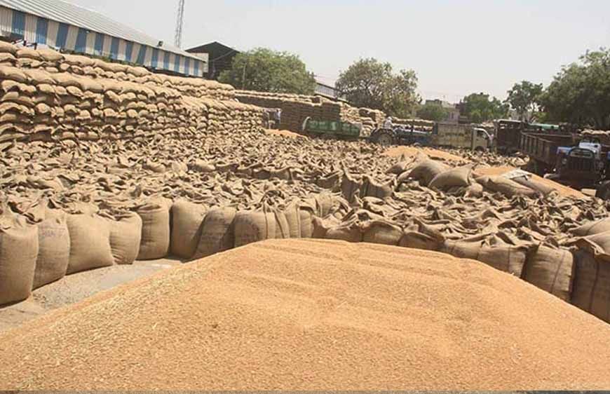 सभी संभागों में गेहूँ का उपार्जन शुरू : खाद्य मंत्री राजपूत