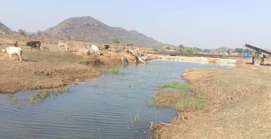 मनरेगा से पनारी नाले का जीर्णोद्धार: 1200 ग्रामीणों को पेयजल व सिंचाई का लाभ