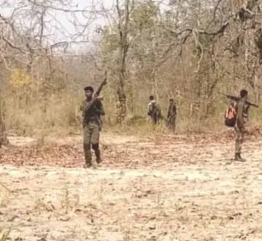 हजारीबाग के खपिया जंगल में पुलिस-टीएसपीसी मुठभेड़, चार उग्रवादी ढेर