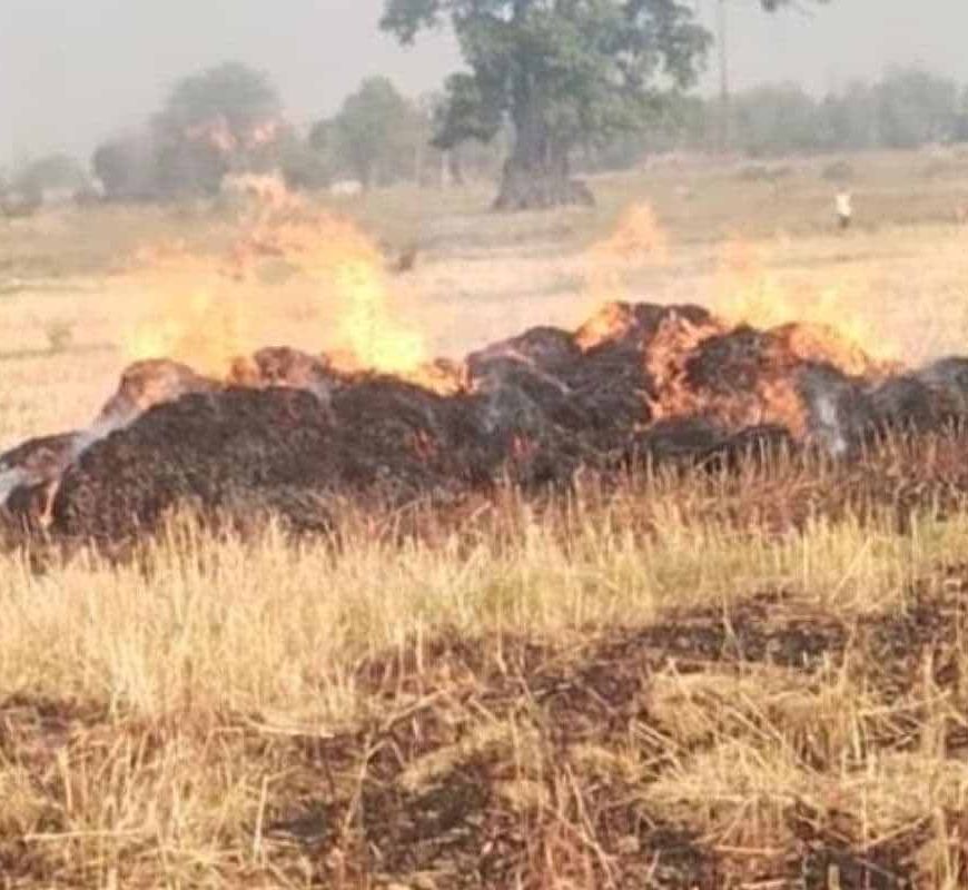 चतरा के सोकी गांव में भीषण आग, 500 से अधिक गेहूं के बोझे जलकर राख