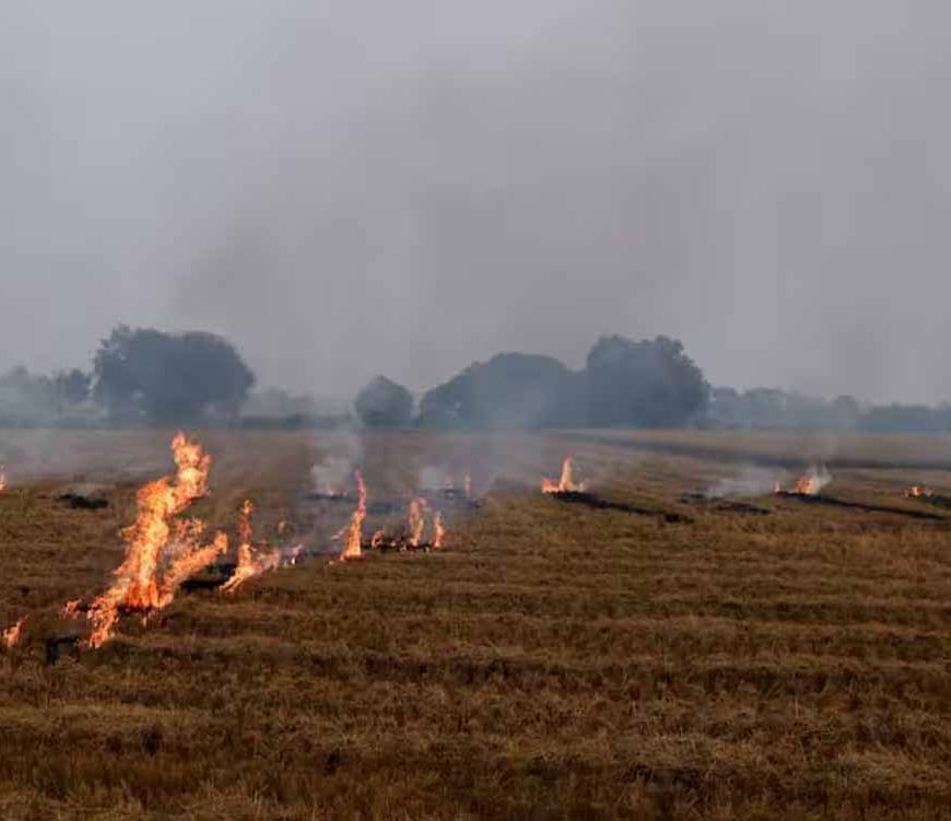 पंजाब में आग से गेहूं की फसल को नुकसान: PWD मंत्री ने मौके पर पहुंचकर लिया जायजा