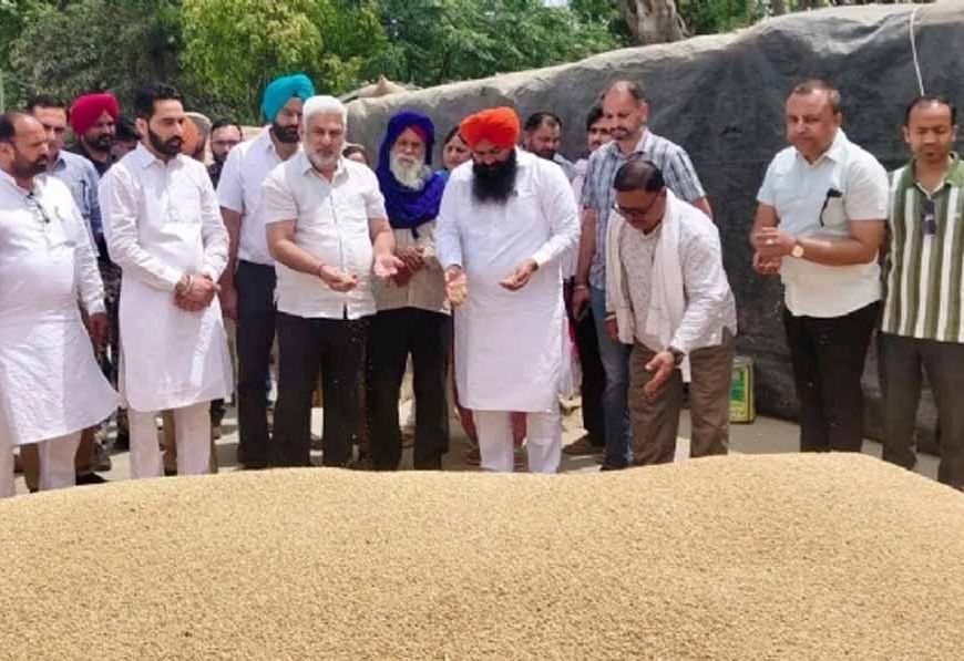 पंजाब की मंडियों में गेहूं की रिकॉर्ड आवक: 24 लाख मीट्रिक टन फसल की खरीद, किसानों को मिली बड़ी राहत