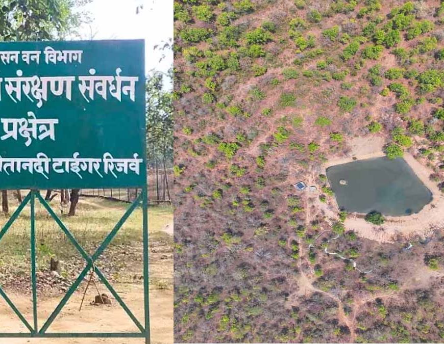 उदंती सीतानदी टाइगर रिजर्व में ‘फायर-वॉटर’ मॉडल का कमाल, 750 जल स्रोत और हाईटेक निगरानी से जंगल सुरक्षित